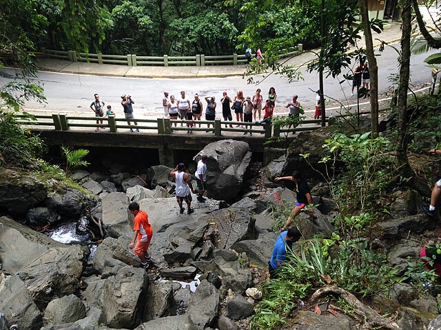 Puerto Rico’s Treasure: El Yunque National Forest